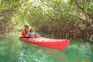 Freeport Bahamas Kayak nature tours