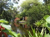Grand Bahama tropical garden